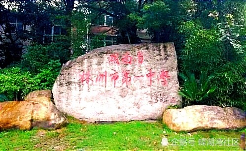 株洲高中最新排名,株洲高中最新排名大解密，小巷里的隐藏瑰宝