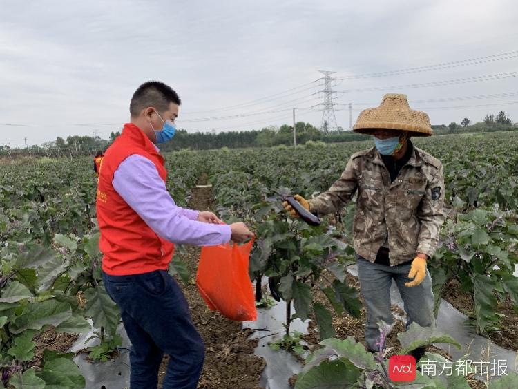 湛江公租房最新动态及相关论述综述