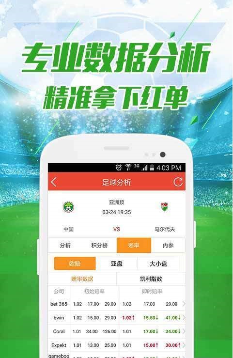 新澳今晚开什么特马仙传,深入数据执行策略_理财版48.128