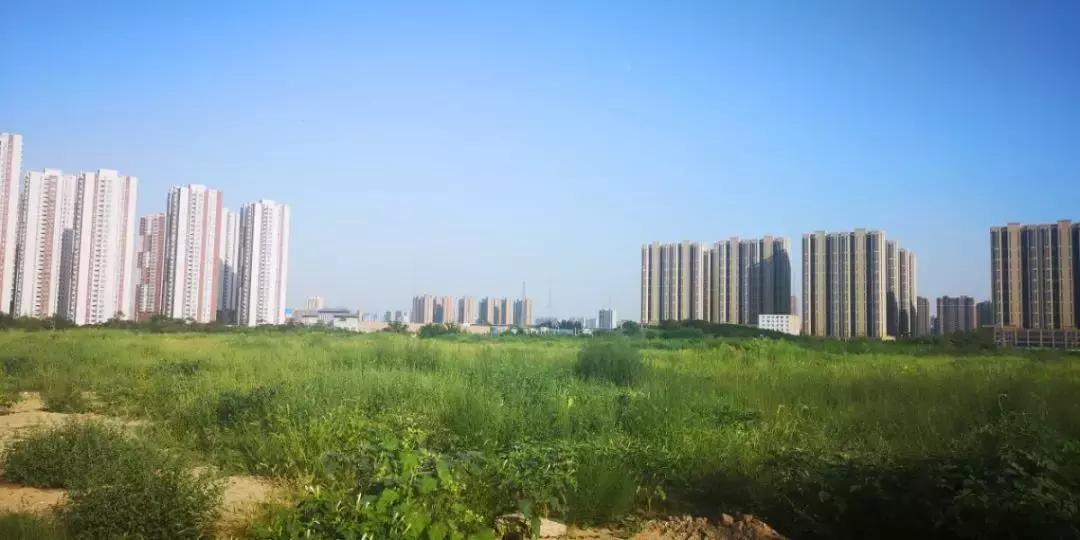奥达文景观园最新动态揭秘，夏日奇遇开启