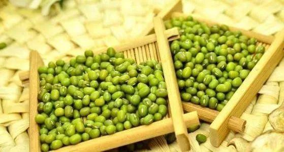 内蒙绿豆价格最新行情揭秘，情缘小巷里的绿豆故事