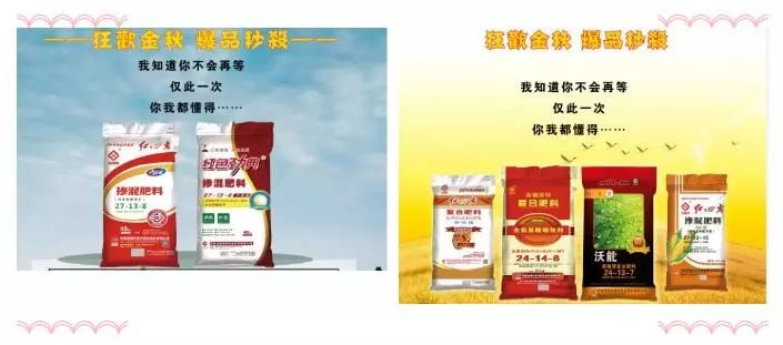 中盐红四方最新价格，小巷中的味觉冒险之旅