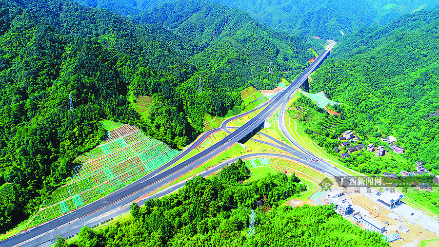 蒙山高速公路最新动态报道