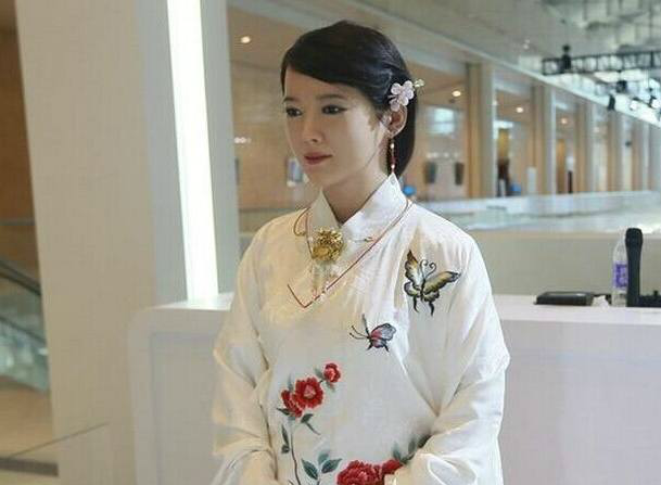 中国最新机器人佳佳，科技前沿的璀璨代表