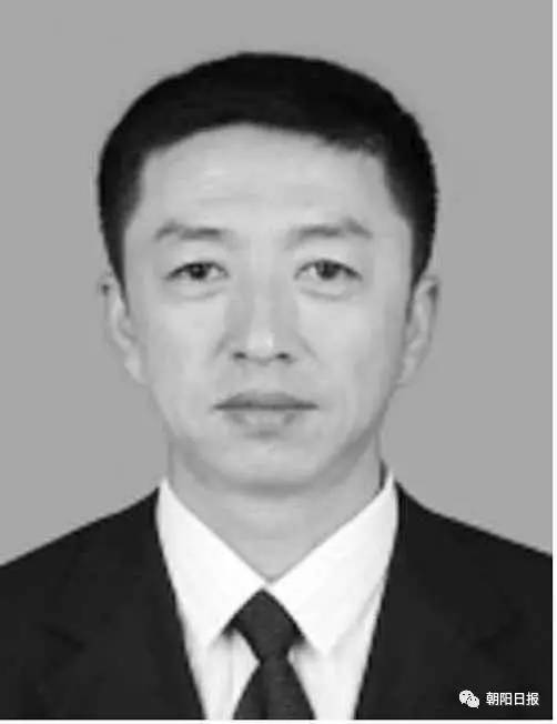 朝阳市政府最新任命，解读与观点阐述的权威解读报告