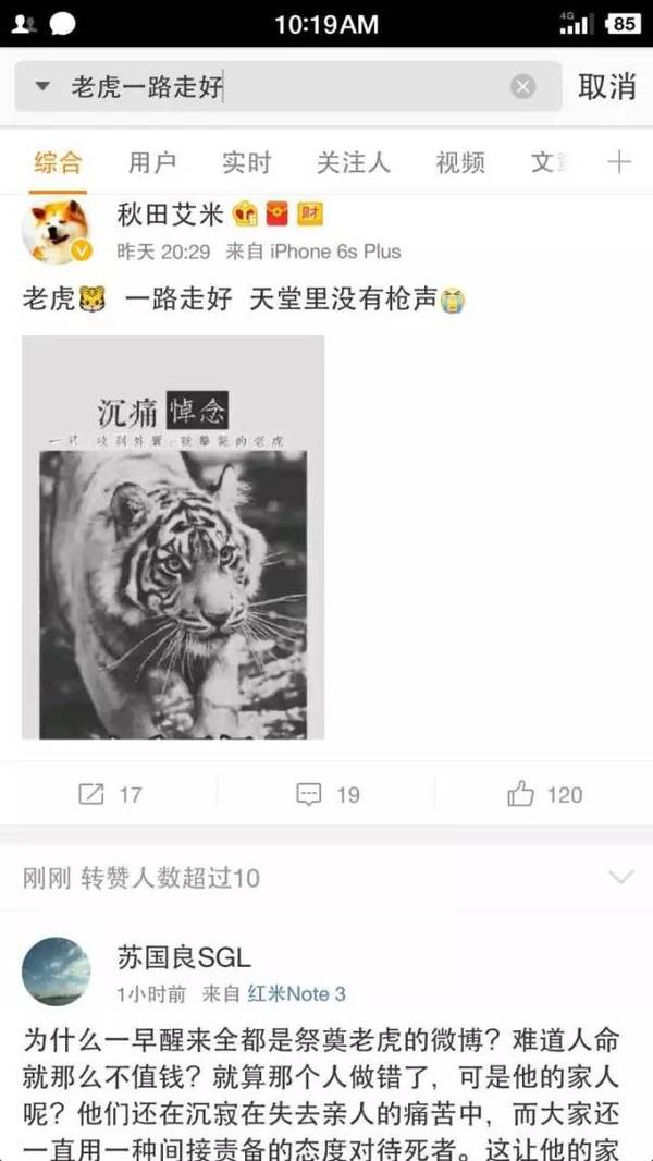 宁波老虎伤人事件最新进展更新