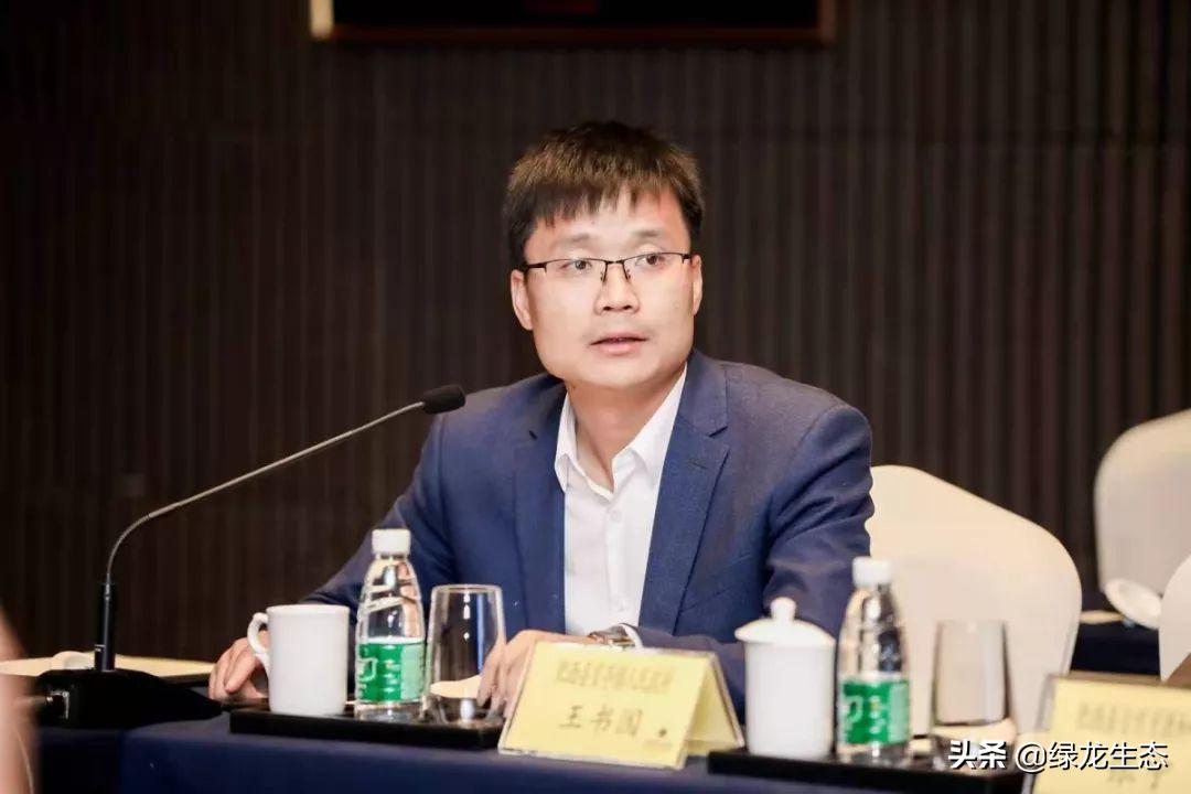 肥西官亭镇未来蓝图展望，最新规划图揭秘标题简洁明了，符合内容主旨。